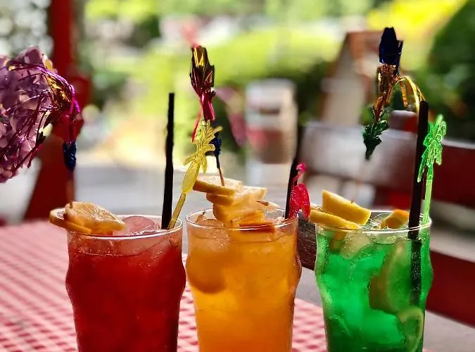 住宿加早餐酒店 波尔曹酒店 米什科尔茨
